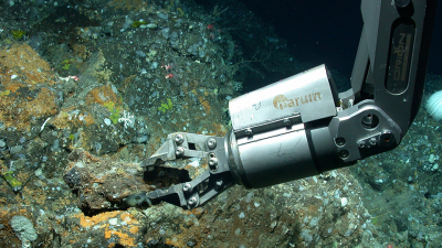 Der Greifarm des Tauchroboters MARUM-QUEST nimmt eine geologische Probe in einer Tiefe von 530 Metern nordwestlich der Azoreninsel São Miguel. Foto: MARUM – Zentrum für Marine Umweltwissenschaften, Universität Bremen