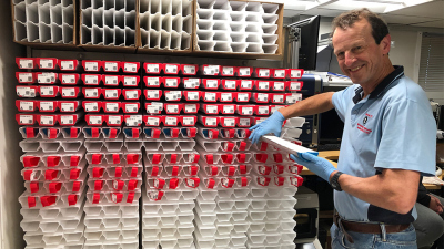 Die Archivhälften der Bohrkernsegmente sind durch eine rote Kappe des Lagerungscontainers gekennzeichnet.