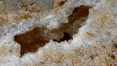 Hohlraum innerhalb einer Karbonatader in einem der Gesteinskerne, die auf mikrobiologische Aktivität untersucht wurden. Foto: William Crawford und IODP