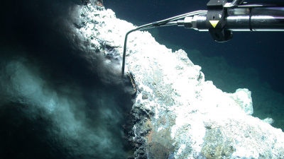 The temperature measurement in the outflow opening of the black smoker showed that the fluids are more than 300°C hot. In addition to this active smoker, numerous vents of varying characteristics have been found in the newly discovered Jøtul hydrothermal 