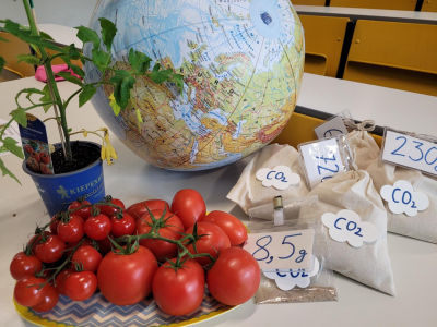 Einfluss unser Nahrung auf den Klimawandel am Beispiel Tomatenanbau