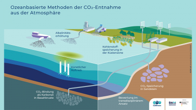Informationsgrafik zu ozeanbasierten Methoden der CO2-Entnahme aus der Atmosphäre, die im Rahmen von CDRmare erforscht werden. Grafik: Rita Erven/GEOMAR