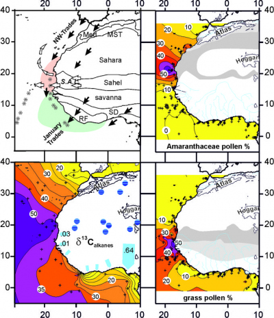 Distribution of pollen in marine surface sediments compared to the stable carbon isotopes of n-alkanes. Prevailing wind systems and vegetation zones.
