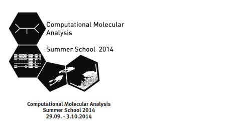 Computational Molecular Analysis Summer School