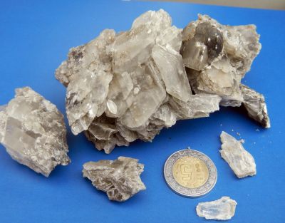 Grobkristalline Gipskristalle im Schwerelot (GeoB19321) des Knoll 2009.