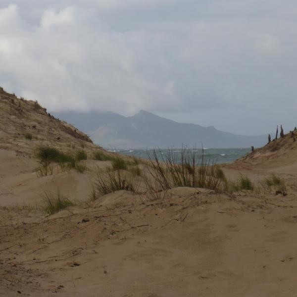 Newborough dune regeneration project