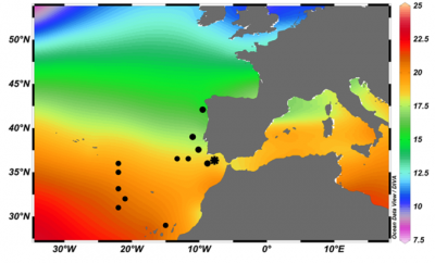 Fig. 1 – Location of plankton tows and water samples collected during various research cruises (black dots), to constrain the habitat and stable isotope geochemistry of planktonic foraminifera. Location of the marine sediment core from IODP Site U1390 (black asterisk) to the paleoceanographic purpose of the project. Underneath, the annual SST (Sea Surface Temperature) mean for the year 2009.