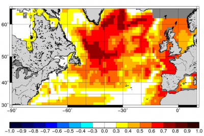 Korrelation der dekadischen Vorhersage des Wasserstandes (Mittel der Jahre 1-10 nach Initialisierung) des Basis-LIMs mit der ‚Wahrheit‘ des Erdsystemmodells über dem Nordatlantik. Die Korrelation liegt zwischen 0.0 und 0.8.