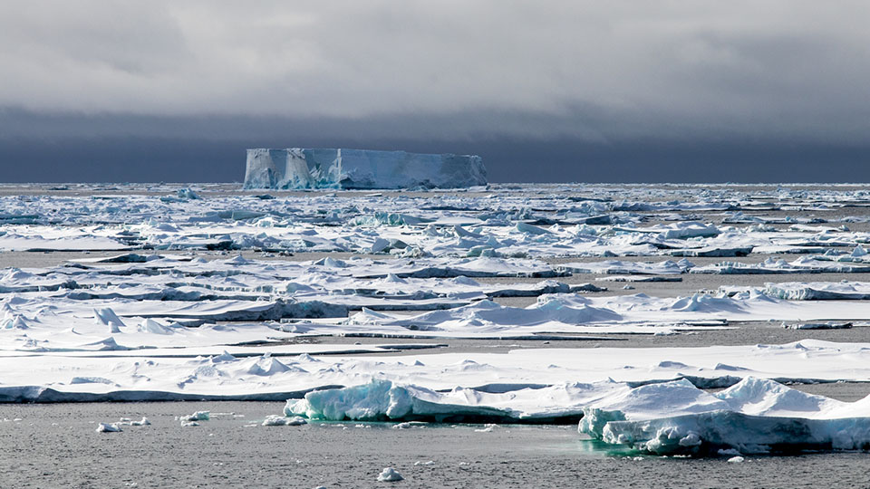 Sea ice in the Amundsen Sea. Foto: Thomas Ronge