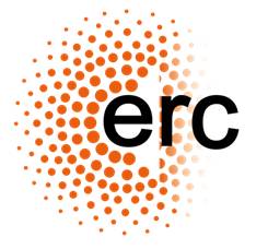 logo ERC 2013