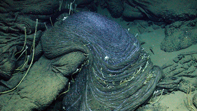 Flow structures of heavy oil at Mictlan Knoll in about 3100 meter water depth. Photo: MARUM - Center for Marine Environmental Sciences