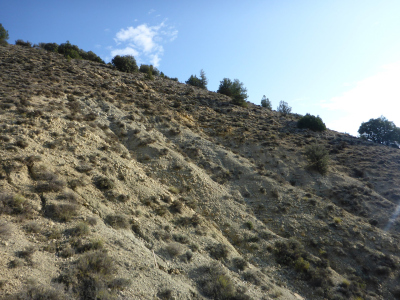 Toarcian sediments at the geological site 'Barranco de la Cañada'