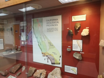 Geological exhibition in the department basement