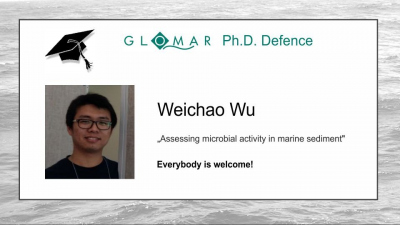 PhD Defence of Weichao Wu