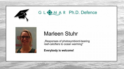 PhD Defence Marleen Stuhr