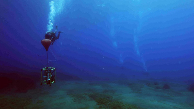 Diver transporting a water chemistry sensor to the study site. Photo: HYDRA/C. Lott