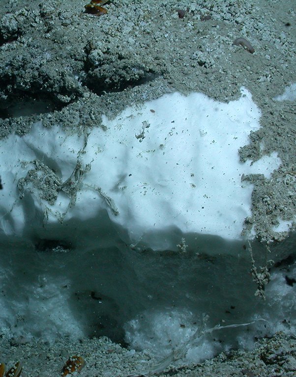 Methanhydrat im Sediment am Meeresboden (Foto: MARUM − Zentrum für Marine Umweltwissenschaften, Universität Bremen)