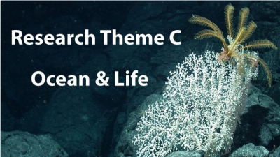 Monthly Research Seminar - Theme C