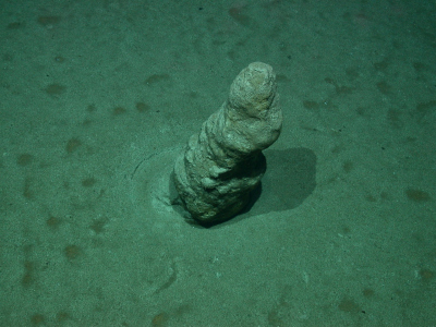 Die untersuchte Kalksteinsäule am Meeresboden in 734 Metern Wassertiefe, aufgenommen vom Tauchroboter MARUM-QUEST. Foto: MARUM – Zentrum für Marine Umweltwissenschaften, Universität Bremen