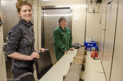 Die Studentinnen Anne-Christin Melcher und Laura Kramer im Kühlraum beim Vorbereiten der Kerne (Foto: P. Wintersteller).