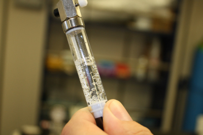 IGT sample in gastight syringe; the degassing of the sample is visible by the formation of gas bubbles. Photo: A. Diehl, Universität Bremen