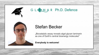PhD Defence of Stefan Becker