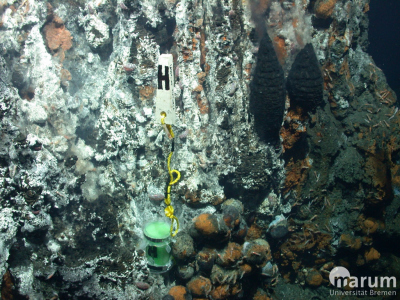 Eine „Besiedlungs-Kammer“ in einer warmen, hydrothermalen Quelle. Die Kammer besteht aus einer durchlässigen Röhre, in der ein künstlicher Schwamm als Lebensraum dient. Foto: MARUM − Zentrum für Marine Umweltwissenschaften, Universität Bremen