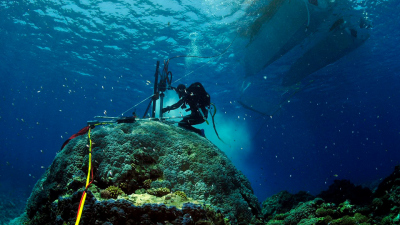 Messungen an von lebenden und fossilen Korallen lassen unter anderem Rückschlüsse zu über vergangene Temperaturen und Schwankungen des Meeresspiegels. Foto: Eric Matson / Australian Institute for Marine Science