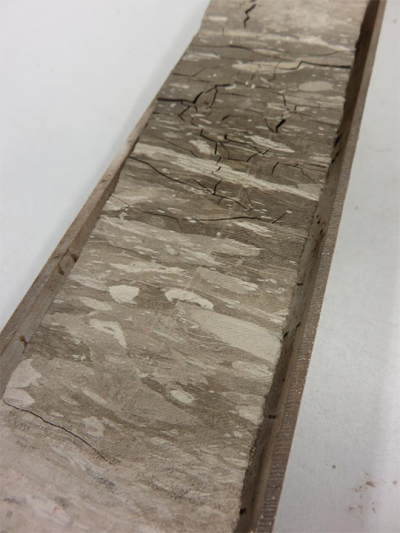 Close-up of halved sediment core: It contains porcellanite with micrite and some clay. Trace fossils can also be seen. Foto: Margot Cramwinckel