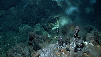 Hydrothermal Vent