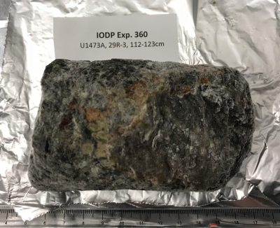 Rock sample from IODP Exp. 360