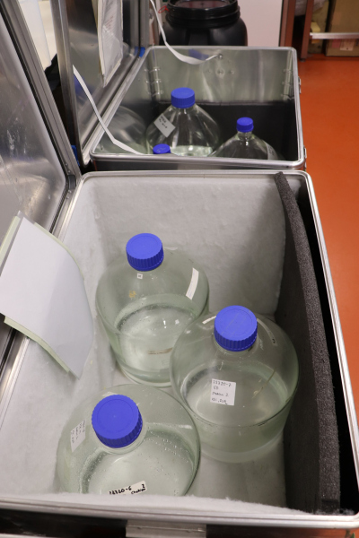 Inkubation-Experiment zur Chemosynthese von marinen Archaeen in 20 Liter Flaschen, natürlich im Dunkeln. Foto: MARUM - Zentrum für Marine Umweltwissenschaften, Universität Bremen