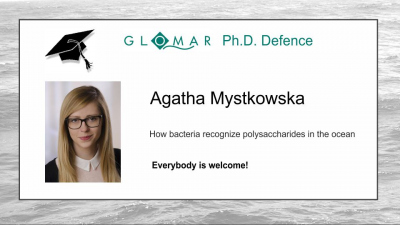 PhD Defence of Agatha Mystkowska