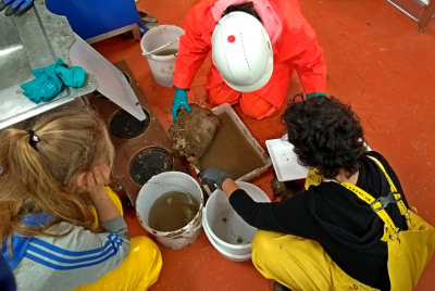 Die vom Meeresboden geborgenen Schwämme werden zuerst gereinigt, dann sortiert und für die spätere Bearbeitung in den Schiffslaboren vorbereitet. Foto: Beate Slaby