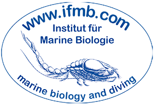Institute for Marine Biology