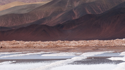 The salars of the Puna have exceptional concentrations of lithium