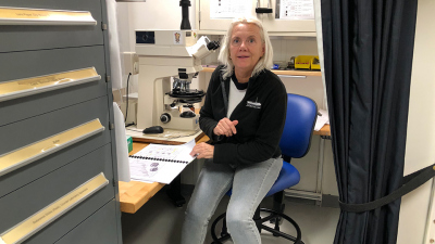 Isabella an ihrem Mikroskop an dem sie kalkiges Nannoplankton bestimmt. Diese Informationen sind für eine Altersabschätzung der Proben wichtig. 