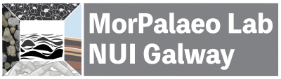 MorPalaeo Lab NUI Galway logo