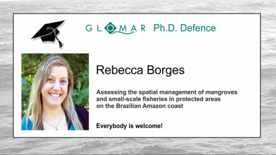PhD Defence of Rebecca Borges