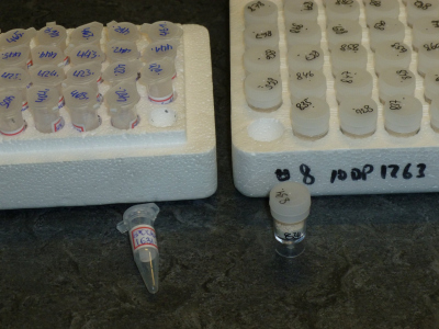 In front are a micro-centrifuge tube (left) and a micro-beaker (right), each with 1.5 mL volume. The adhesive paper label on the tube is secured with clear tape, the beaker has been directly inscribed. Examples of polystyrene trays are in the back. 