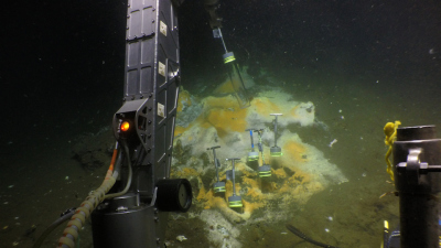 Tauchgang im Golf von Mexiko: Mit dem Tauchboot ALVIN konnten die Bremer Forschenden den Meeresboden erreichen. Dort nutzen sie ALVINs Greifarm, um Sedimentkerne aus dem Meeresboden zu sammeln. Weißlich-orange gefärbte mikrobielle Matten aus schwefeloxidi
