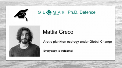 PhD Defence of Mattia Greco