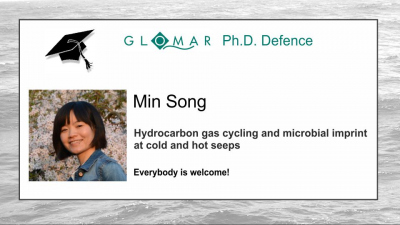 PhD Defence of Min Song