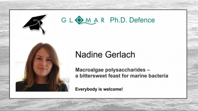 PhD Defence of Nadine Gerlach