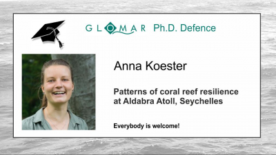 PhD Defence of Anna Koester