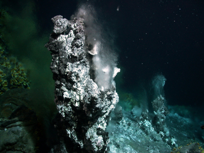  Hydrothermalquellen in 860 Meter Wassertiefe südwestlich der Azoren.