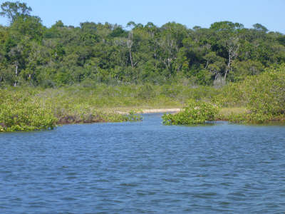 Mangroven und kleine Salzmarsch (Bildmitte) in Brasilien. Im Projekt Sea4Society untersuchen die Forschenden, inwieweit Mangroven oder auch Algen nachweislich Kohenstoff speichern können. Foto: Martin Zimmer, ZMT 
