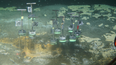 Sampling from the hot sediments of the hydrothermal seep at the Guaymas Basin off the coast of Mexico. The methane-oxidizing consortia live underneath the whitish-yellow and orange-colored bacterial mats. Photo: Andreas Teske, Univ. of North Carolina (USA