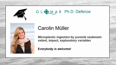 PhD Defence of Carolin Müller