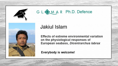 PhD Defence of Jakiul Islam